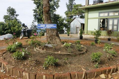 MTP Compound